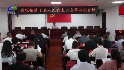 桂花镇召开第十届人民代表大会第四次会议