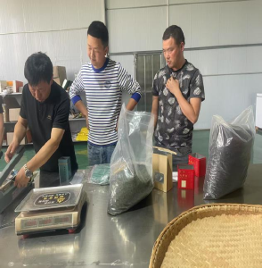 破茧成蝶！西山下村走出致富新路径