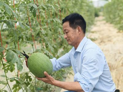 吊着养！28天速成“空中甜心”