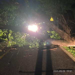 闻汛而动！咸安公路局半小时极速清障