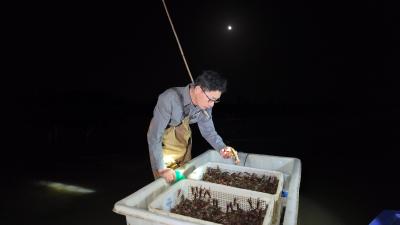 咸宁咸安：一笼虾苗一湖金，向阳湖畔富路长