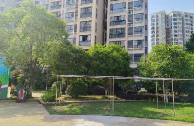 凤凰社区：晾晒区“上岗”，晒出居民幸福生活