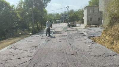 白鹤村：乡村振兴路先行 路畅业兴暖民心