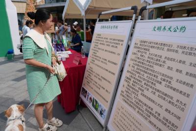 “汪”星人集合！咸安这场文明养犬嘉年华，萌翻全场！