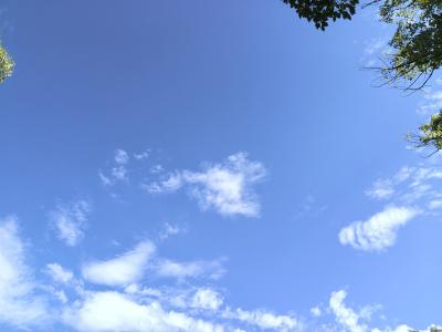 婆婆二三事