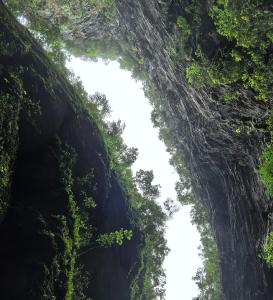 梦回屏山大峡谷
