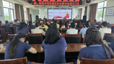 咸安经济开发区园区成立妇联 开启妇女工作新征程