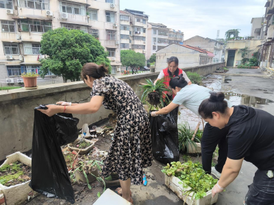 文笔路社区：志愿服务扮靓温馨家园