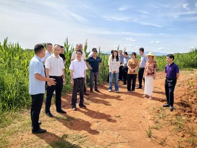 双溪桥镇人大开展“聚力支点建设·助力乡村振兴”代表行动