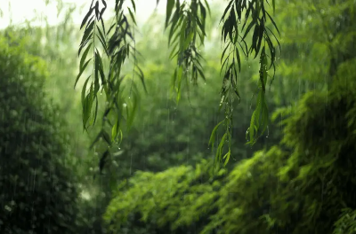 伤离别