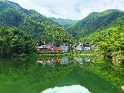 【美丽乡村】大幕乡马安头村：双轮驱动绘就生态与文明双美画卷
