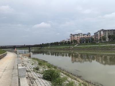咸宁咸安：痛点变亮点！咸安多举措筑牢城市防汛堤坝