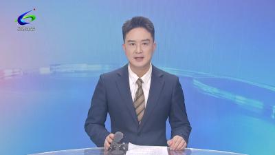 【奋战二季度 打好攻坚战】周锋到咸宁高新区、咸安区调研时强调 坚定不移大抓项目抓大项目 确保顺利实现“双过半硬过半”