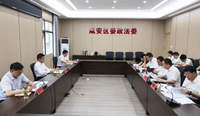 李军平调研政法及信访工作时强调 筑牢咸安平安稳定防线