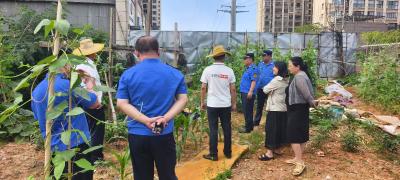 “城管+社区”联防联控  织密城市治理“安全网”