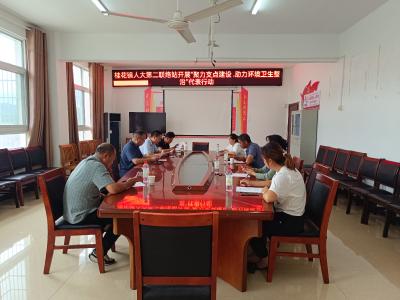 桂花镇人大开展“聚力支点建设·助力环境卫生整治”代表行动 