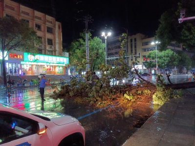 暴雨突袭树挡道 咸安城管快速清障保畅通