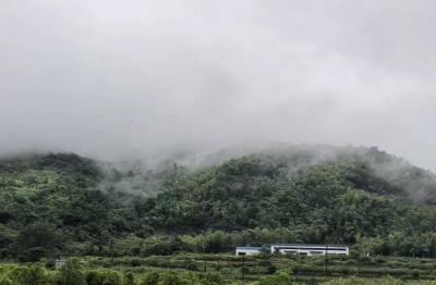 李邕与桃花尖：跨越千年文脉的诗意传承