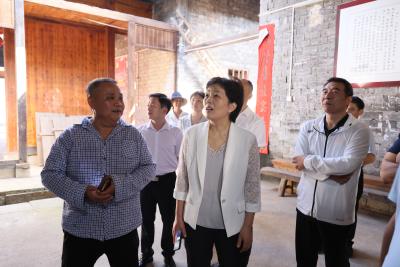 市人大调研组来咸安开展古民居保护与公共文化服务工作调研