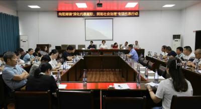 向阳湖镇开展2025年“深化代表履职，赋能社会治理”专项行动