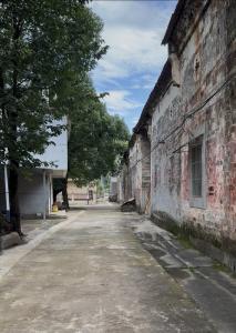 马桥镇垅口村：清洁家园齐发力 村湾处处绽新颜