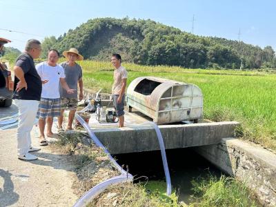 马桥镇金桥村：干群齐心灌溉，110余亩良田“解渴”保丰收