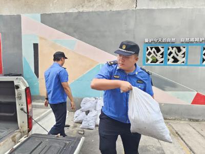 咸安城管亮剑“垃圾盲区” 还路于民提升市容