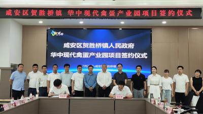贺胜桥镇“百亿蓝图”再添新动能  华中现代禽蛋产业园项目成功签约