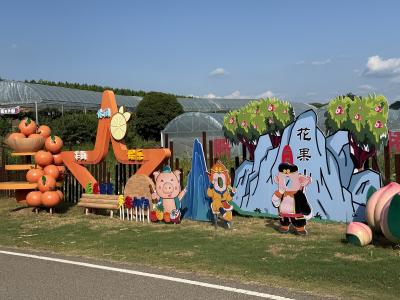 【项目建设进行时】向阳湖镇：“甜蜜产业”结硕果 家门口建起“致富园”