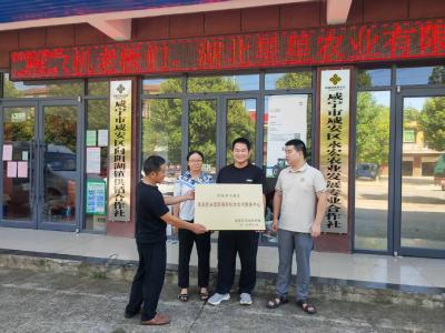 咸安区三家区级农机中心挂牌 构建双重保障体系