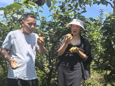 咸安：科技赋能果香溢满致富路