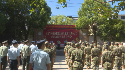 赓续红色血脉 续写先辈荣光 咸宁市咸安区“唐光友民兵连”正式命名成立
