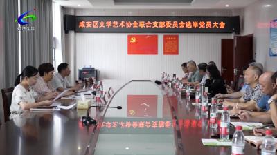 咸安区文学艺术协会联合支部委员会选举党员大会举行