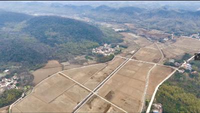 五大行动 咸安实践 | 咸安：“小田并大田”蹚出“碎地生金”新路子