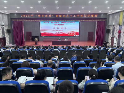 蓄力赋能启新程 提升素养强根基