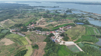 【美丽乡村】向阳湖镇施家湾：激活村民动力 绘就和美乡村