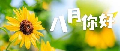 8月，你好！