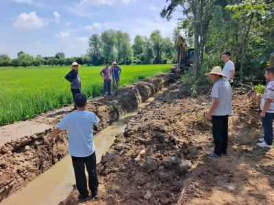 向阳湖镇：蓄足“水动力” 引水保丰收