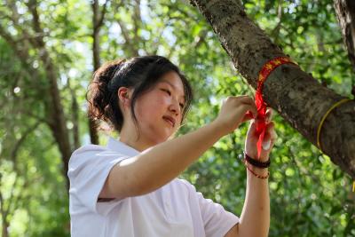 咸宁市2025年“蟾宫折桂”大学生认养古桂花树活动启动