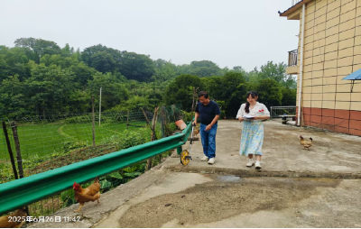 区审计局：锁定衔接资金，助推乡村振兴