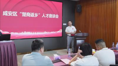 咸安区“楚商返乡”人才座谈会在深圳召开