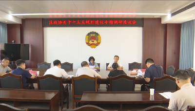 区政协召开关于“十五五”规划建议专题调研座谈会