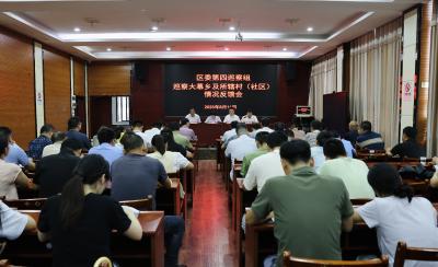 区委第四巡察组向大幕乡及所辖村（社区）反馈巡察情况