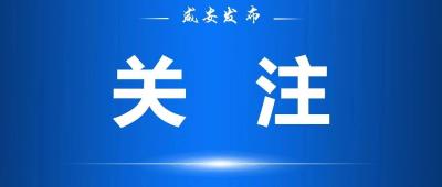 区政府召开2025年第13次常务会议