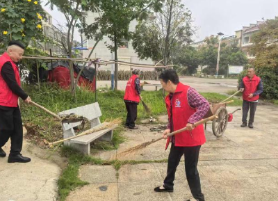 向阳湖镇：加强环境整治，清洁美丽家园