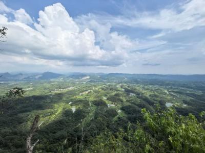 咸安：43.78万亩天然林精准落界