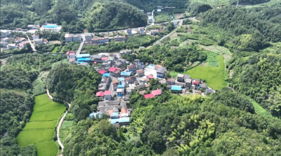 【美丽乡村】桂花镇苏家坊村坳塘金自然湾