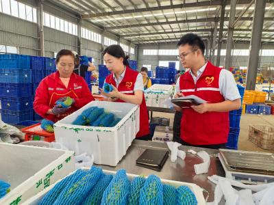 湖北交投京珠运营公司：调研走访双驱动 运营服务再提升