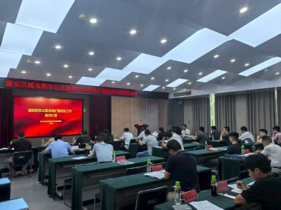 以“数”赋能，咸安区“数公基”建设成绩亮眼