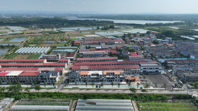 社区“变形记”：环境整治见实效，居民点赞新面貌